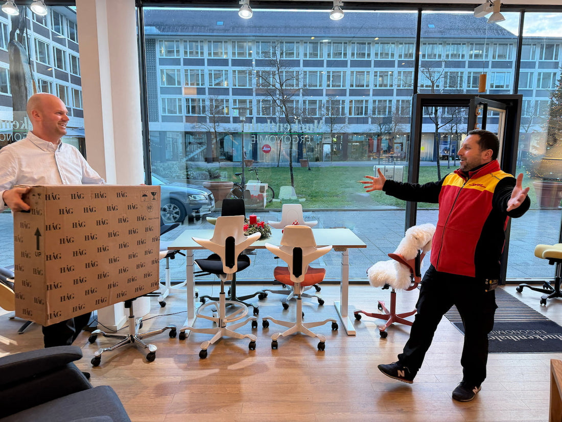 Sofort lieferbar - Capisco Shop